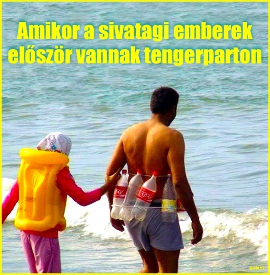 Amikor tudsz úszni, csak még vízben nem próbáltad