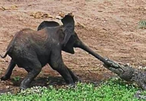 Amikor kihúznád időben, de