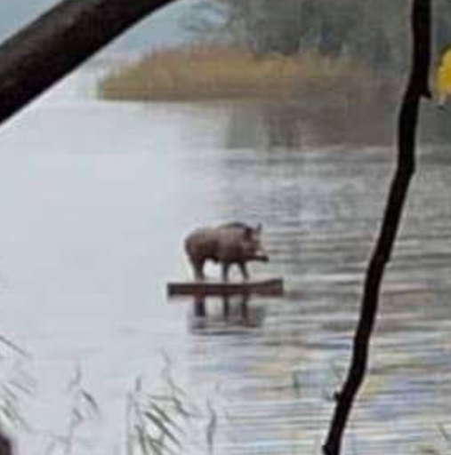 Amikor fogalmad sincs, merre sodor az élet, de igazából már le is szarod