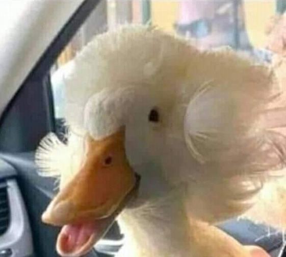 Amikor elhozod az asszonyt a szépségszalonból