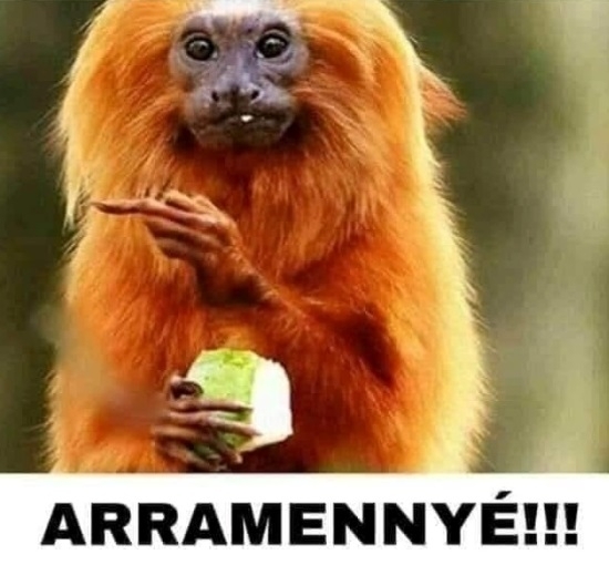 Szóval azt mondod nem vagyok szimpi?