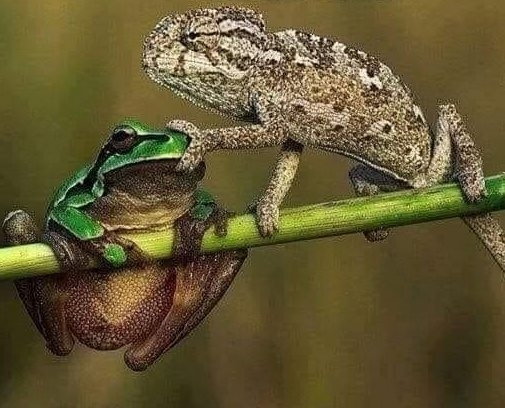 Amikor vitatkozom valakivel, és elfogynak az érveim