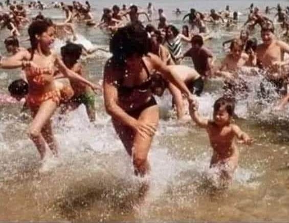 Amikor keresed a kutyádat a strandon, aki Cápa névre hallgat 