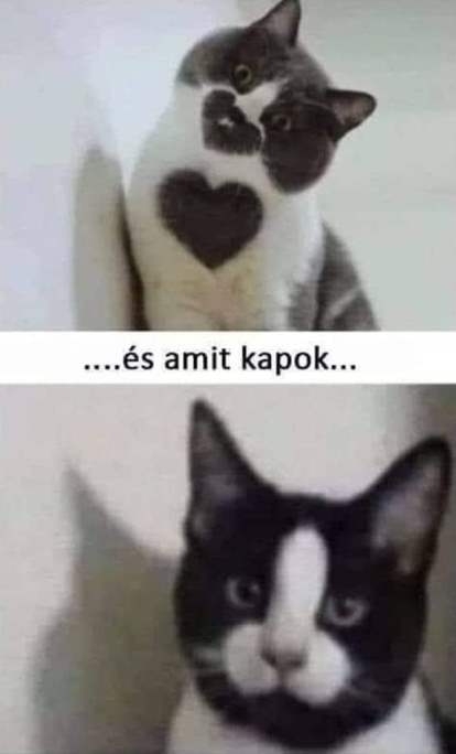 Amit akarok az élettől