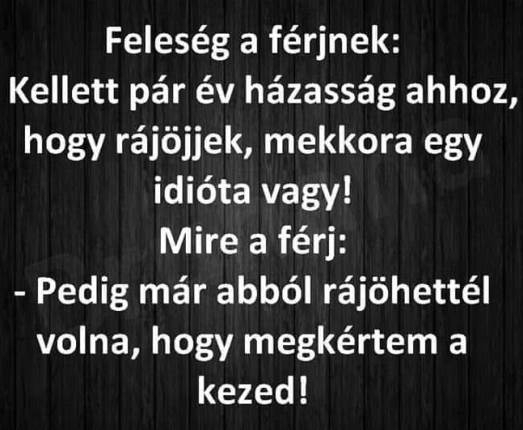 Emberünk frappáns választ adott