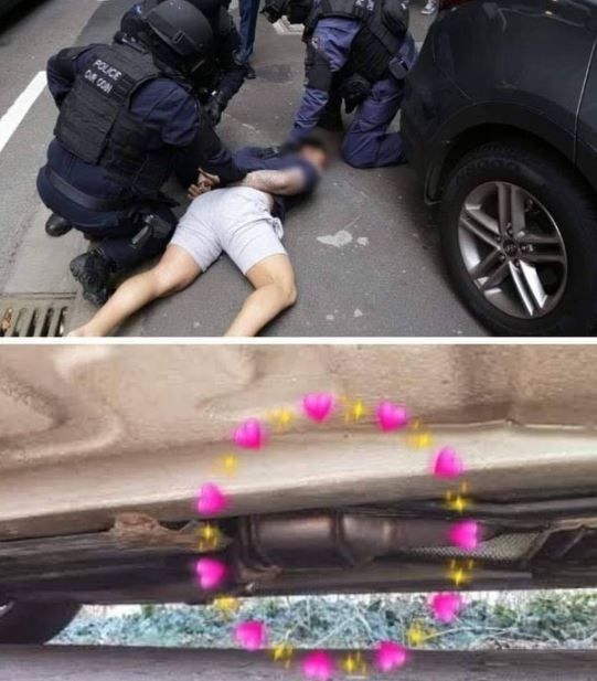 Amikor az élet padlóra küld, soha ne add fel