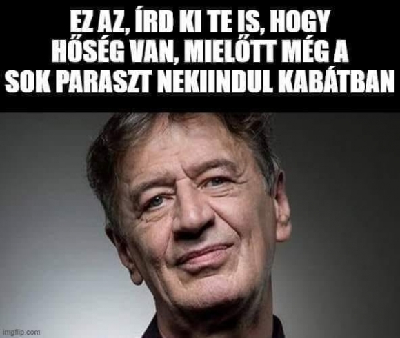 Napi tennivaló 🙂