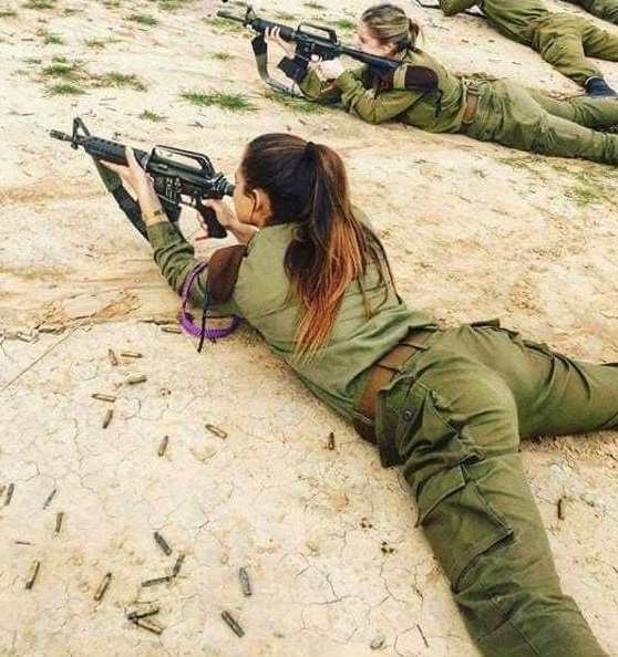 Hüvelyek a földön