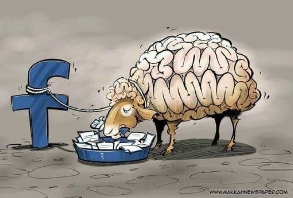 Neked szükséged van a visszacsatolásra másoktól?