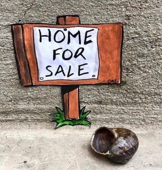 Napiszar, ingatlan rovat