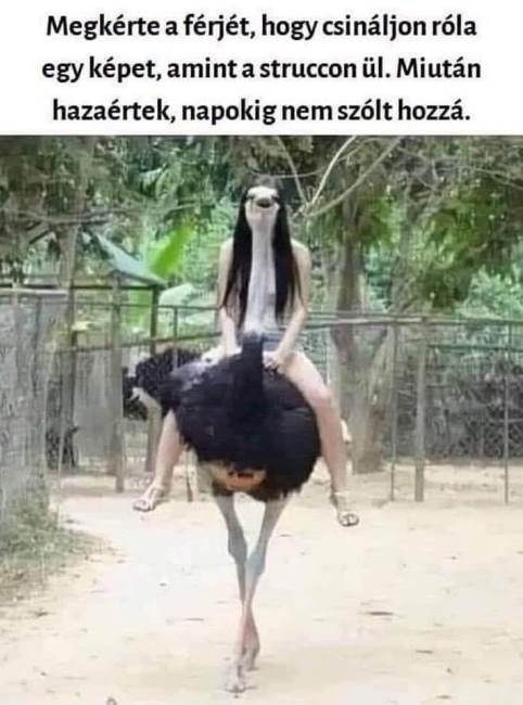 Kérésed számomra parancs, drágám 🙂