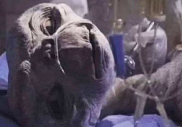 Amikor pénteken és szombaton is buli volt, de már elmúltál 40