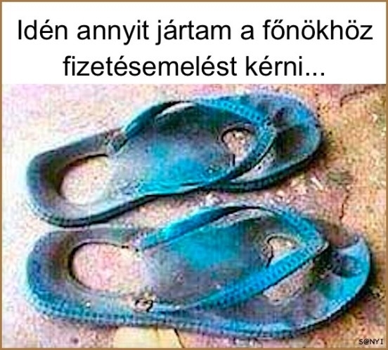 Munkaidőm kötetlen, megyek mint egy töketlen