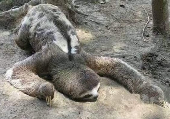 Mai hozzáállásom bármihez, ami munkával kapcsolatos