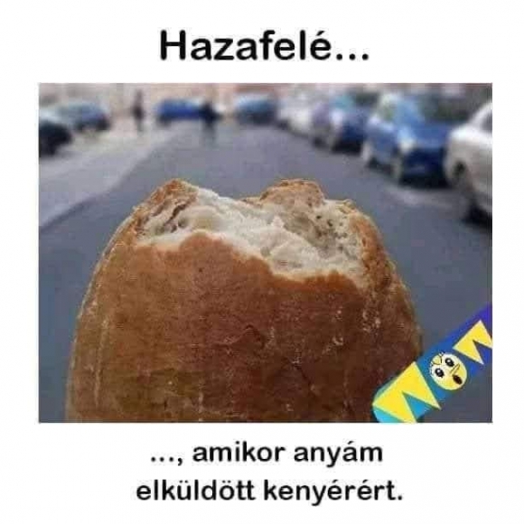 Sokaknak ismerős lehet