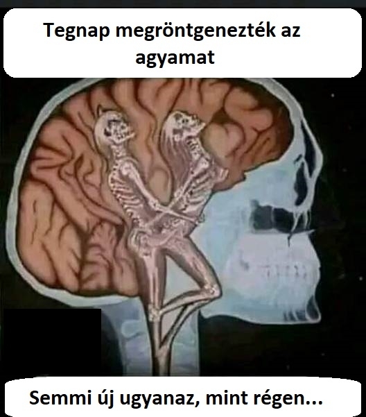 Van, ami nem változik