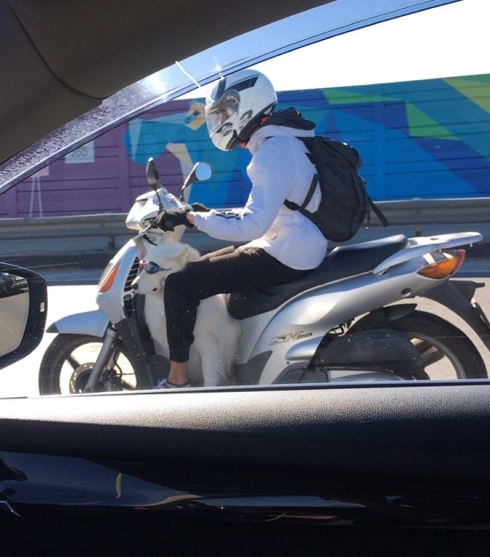 Ma a Róbert Károly körúton járt a szállító