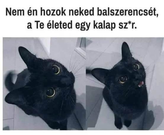 Napi tényfeltáró 🙂