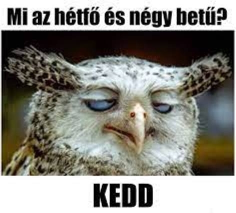 Álmosan indul a reggel