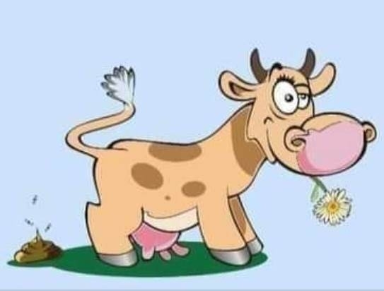 Állj pozitívan az élethez!