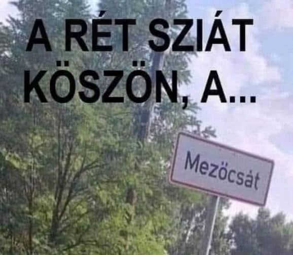 Vasárnapi agyzsibbasztó