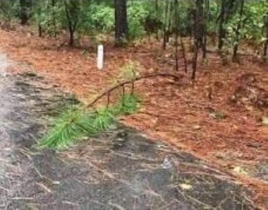 Főnök! Egy fa dőlt az útra