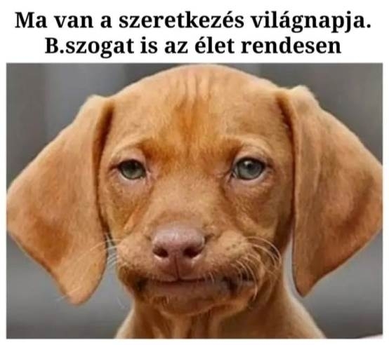 Amúgy kezdem megszokni 🙂