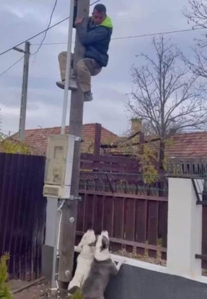 Vidéki rúdtánc tanfolyam