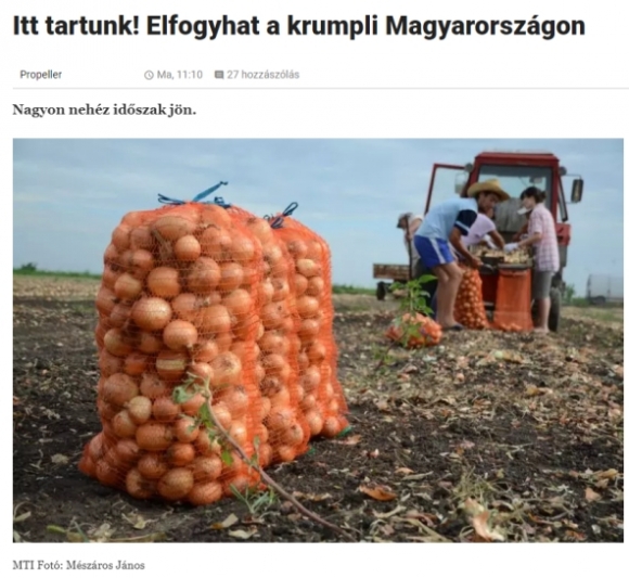 Akkor együnk hagymát helyette