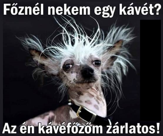 Egy kéréssel indul a hét