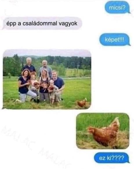 Amikor a csajod egy őrült