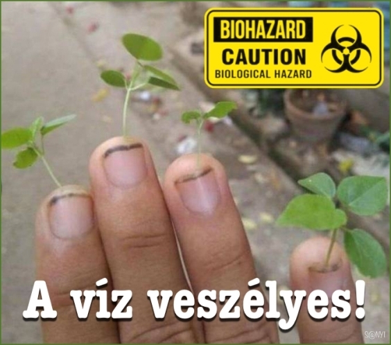 Nem csak meginni, belenyúlni is veszélyes