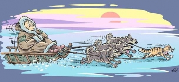 Eszkimó gyorsjárat