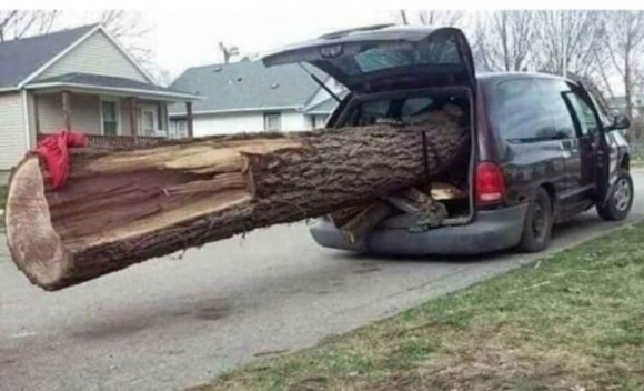 E heti jótanácsunk - Ne fűts idén kivágott fával