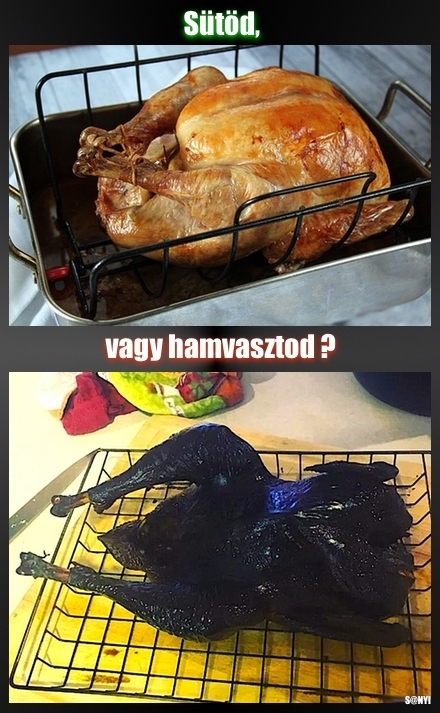 Ebéd előtt döntsd el!