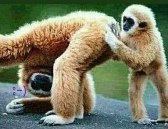 Eltűnt az egyik kollégánk, megnézem a főnöknél