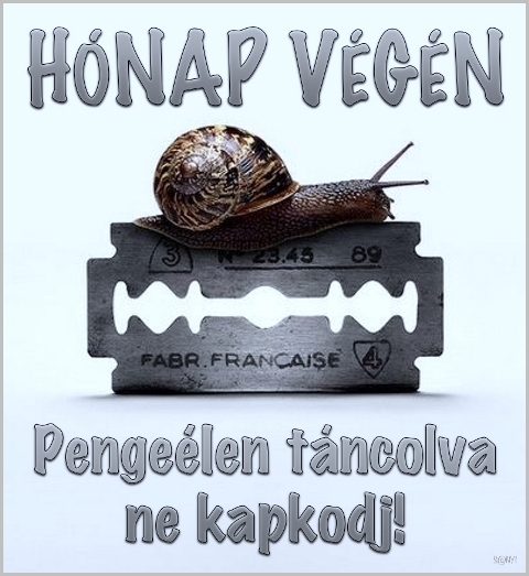 Ezt még tegnap este küldte Sanyi barátunk