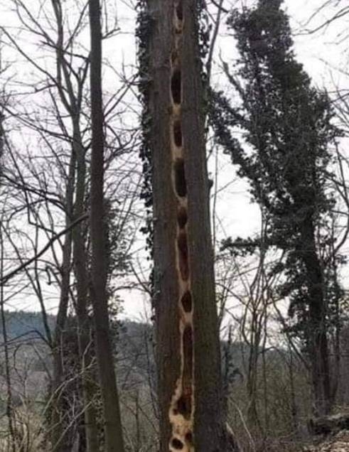 E heti jótanácsunk