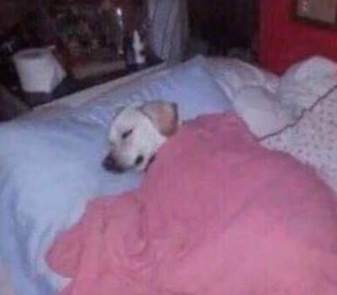 Ma este 5 menetet letolunk baba