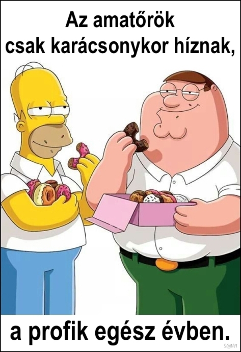 Én profi vagyok 🙂