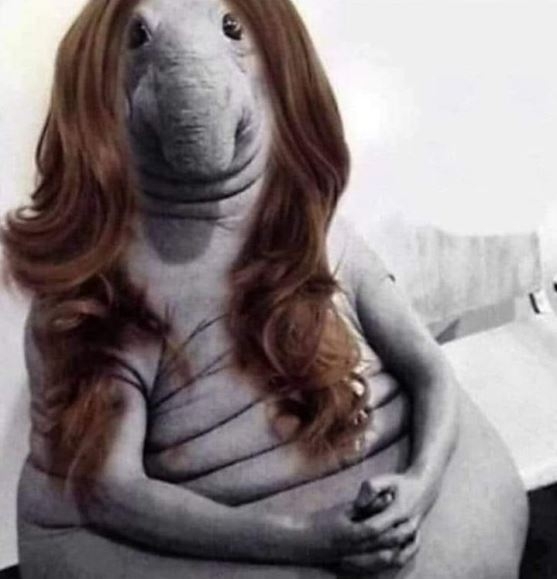 Amikor az ünnepek után új frizurát csináltatok, hogy ne az alakomra figyeljenek