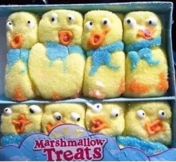 Agysejtjeim január elsején