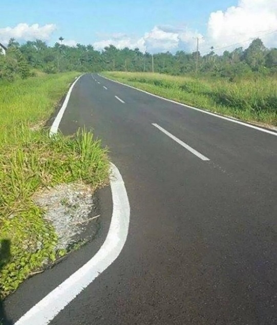 Díjkiosztót tartottak