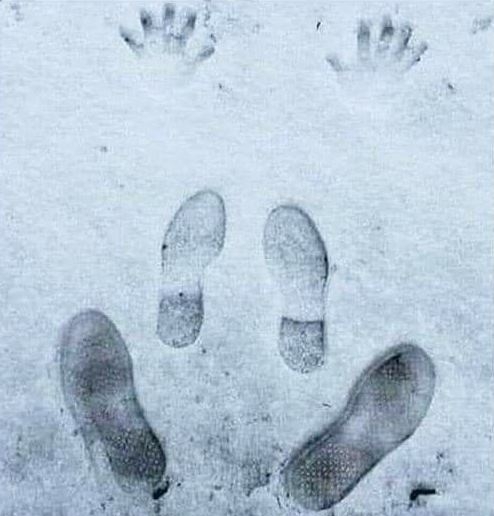 Hóangyal - Felnőtt verzió