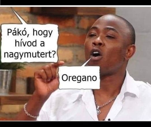 Celeb rovat - Lapite Oludayo