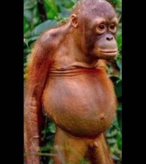 Amikor keresed az asszonyt, mert úgy érzed, hogy ma este menne a dolog