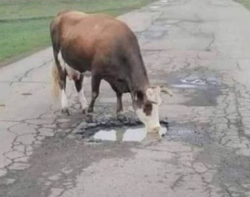 A mi útjaink nem rosszak, csak multifunciósak