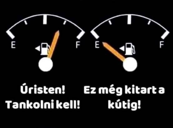 Kétfajta típusú sofőr létezik