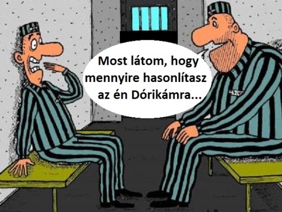 Új fiú érkezett a zárkába