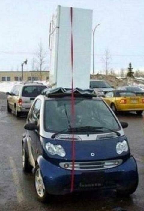 Vajon kibírta az utat hazáig?